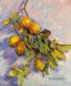 Zitronen auf einer Niederlassung Claude Monet Stillleben Ölgemälde